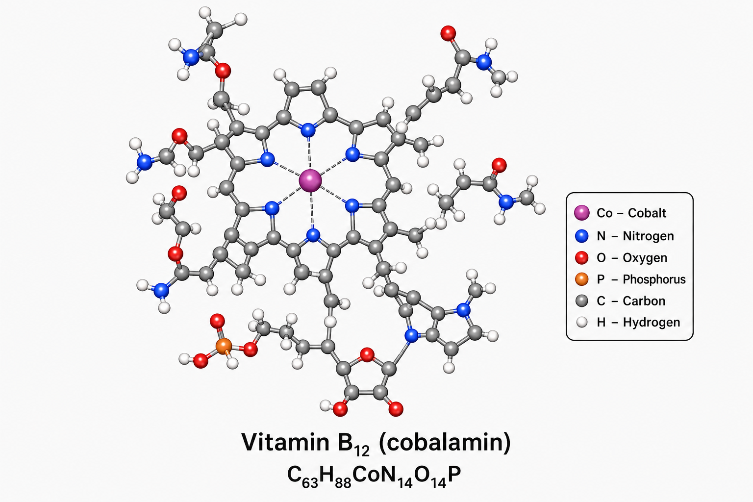 Vitamin B12 (cobalamin) molecule C₆₃H₈₈CoN₁₄O₁₄P