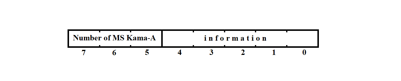 Diagram showing the structure of bytes entering the Synchronization Processor