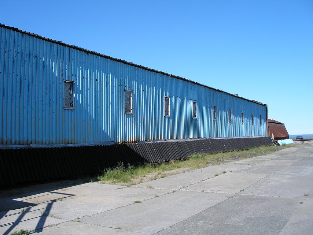 Vega Norilsk Right Wing