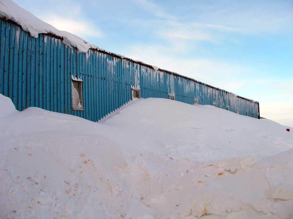 Vega Norilsk Winter Right Wing